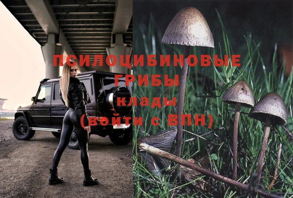 не бодяженный Балахна
